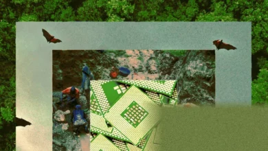 Satellite image showing deforestation patterns around mining sites in the Congo Basin rainforest