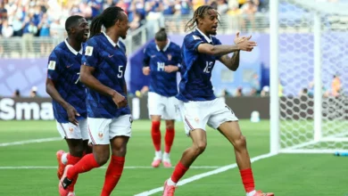Football stadium in East Rutherford hosting the France versus Sweden match