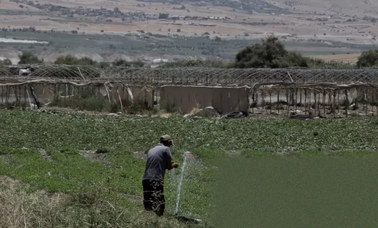 Agricultural produce from occupied West Bank settlements packed into crates for export to Europe