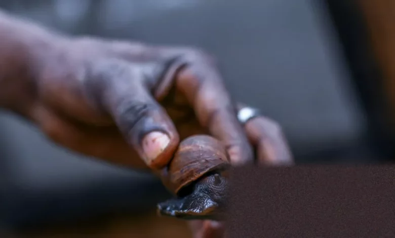 Snail farming pens on land in Ghana, replacing fishing nets to protect marine life