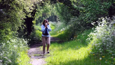 High pollen count forecast on a smartphone screen in a London park