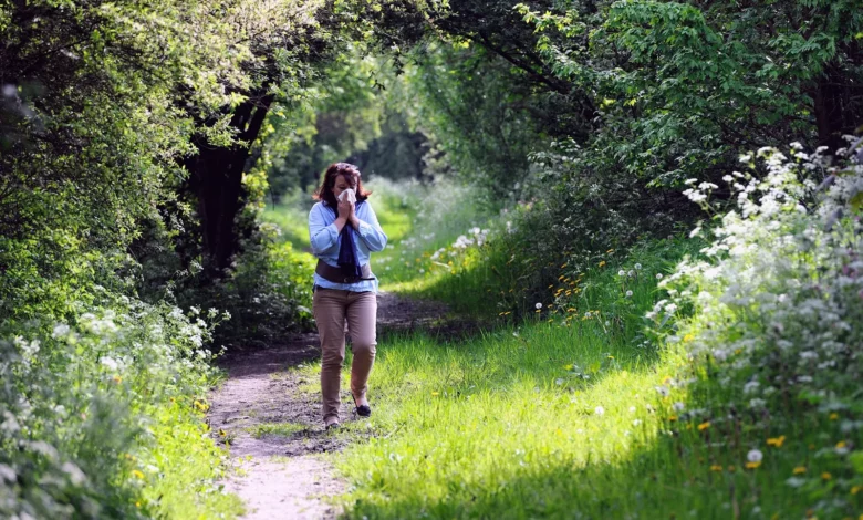 High pollen count forecast on a smartphone screen in a London park