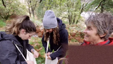 Volunteers collecting seeds by hand in remote western Highland woodland