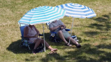 Sunbathers in a park in southern England on a warm weekend day
