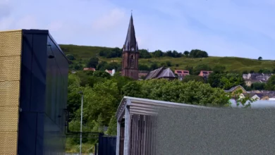 Sheep grazing on rewilded land beside empty modern technology buildings in Ebbw Vale