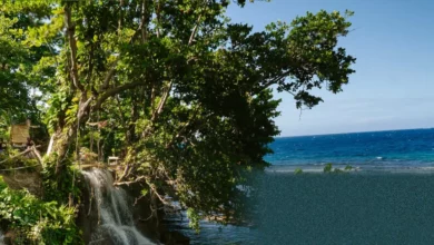 Jamaican coastline with fenced-off resort beaches and local fishers nearby