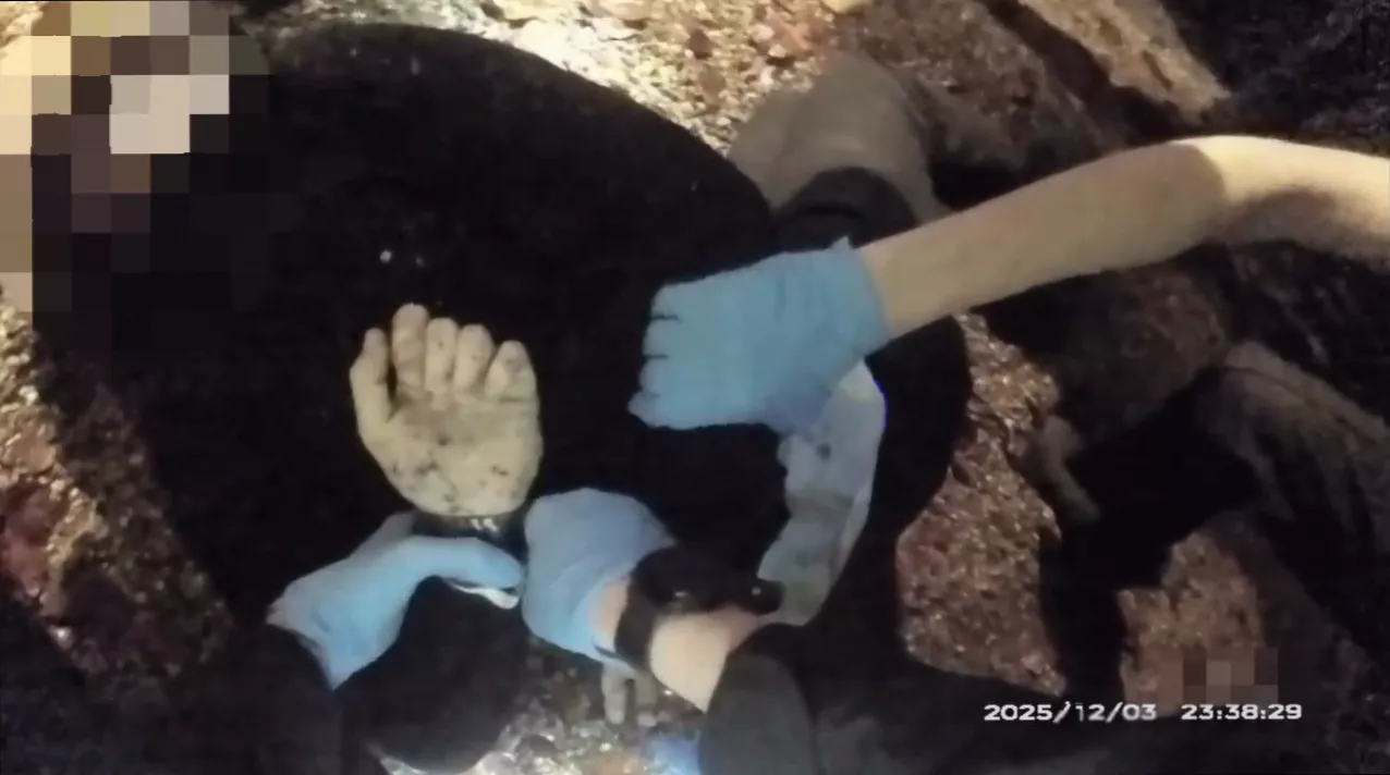 Body-worn camera footage showing officers failing to check a handcuffed suspect for injuries
